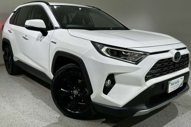 2020 Toyota RAV4 Cruiser