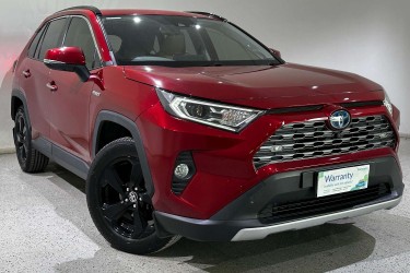 2019 Toyota RAV4 Cruiser